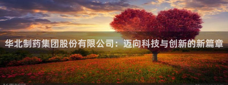 j9九游会老哥俱乐部交流区：华北制药集团股份有限公司：迈向科技与创新的新篇章