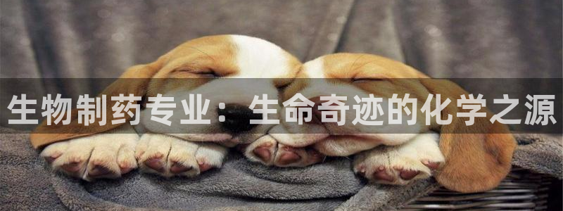 老哥吧九游会：生物制药专业：生命奇迹的化学之源