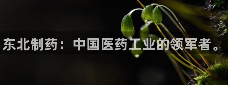 九游老哥俱乐部官网登录：东北制药：中国医药工业的领军者。