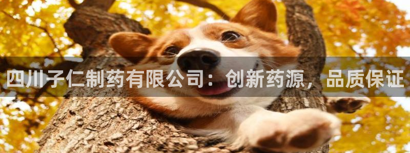 九游老哥俱乐部官网登录网址：四川子仁制药有限公司：创新药源，品质保证
