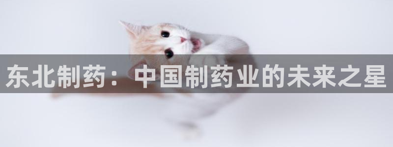 九游会老哥俱乐部论坛版：东北制药：中国制药业的未来之星