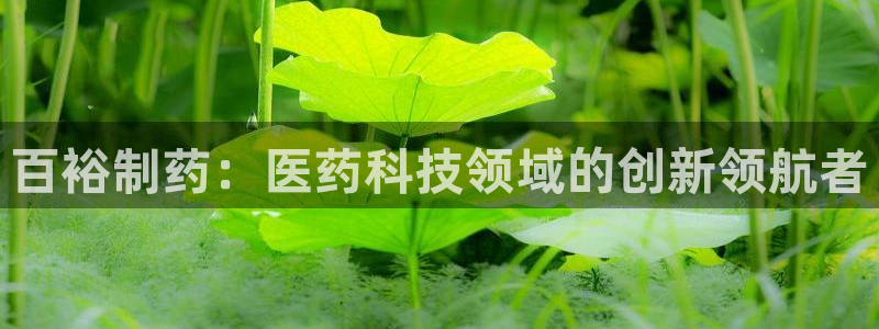 老哥俱乐部是干什么的：百裕制药：医药科技领域的创新领航者