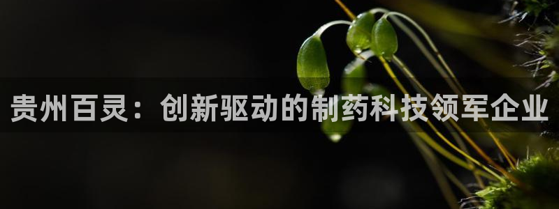 九游会老哥必备的交流社区九：贵州百灵：创新驱动的制药科技领军企业