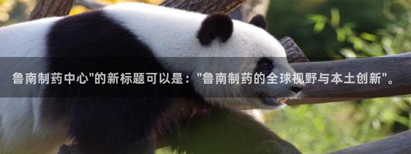usdt九游会老哥俱乐部：鲁南制药中心\