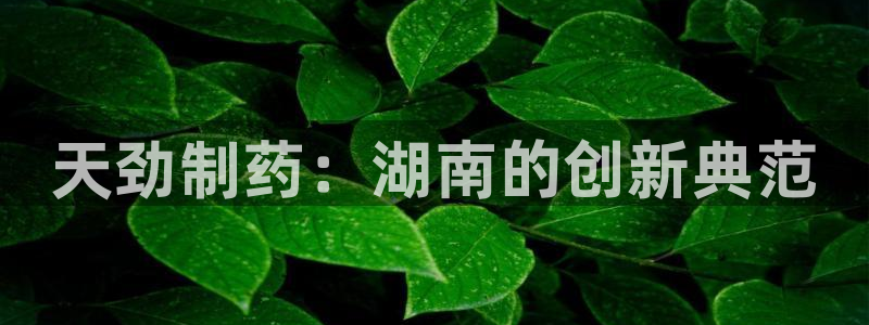 九游会老哥俱乐部必备的交流社区：天劲制药：湖南的创新典范