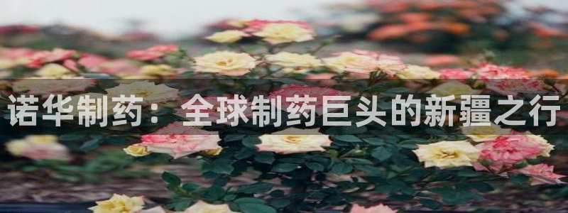 老哥俱乐部是干什么的啊
