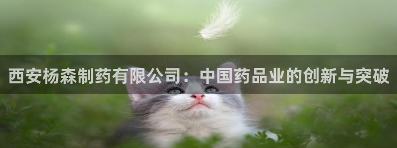 九游老哥俱乐部官网登录网址：西安杨森制药有限公司：中国药品业的创新与突破