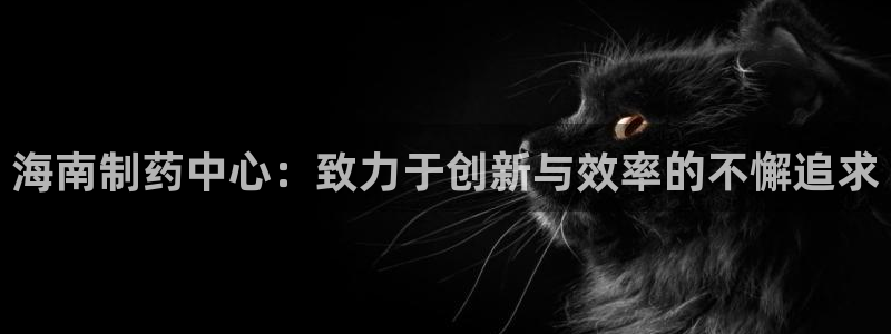 九游会老哥俱乐部官网首页：海南制药中心：致力于创新与效率的不懈追求
