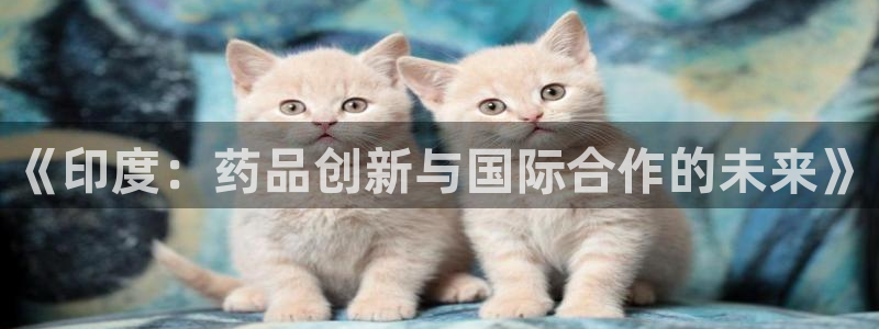 九游会老哥俱乐部官网首页：《印度：药品创新与国际合作的未来》