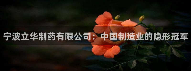 老哥俱乐部是干什么的：宁波立华制药有限公司：中国制造业的隐形冠军