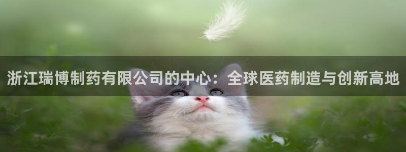 九游会老哥必备的交流社区：浙江瑞博制药有限公司的中心：全球医药制造与创新高地