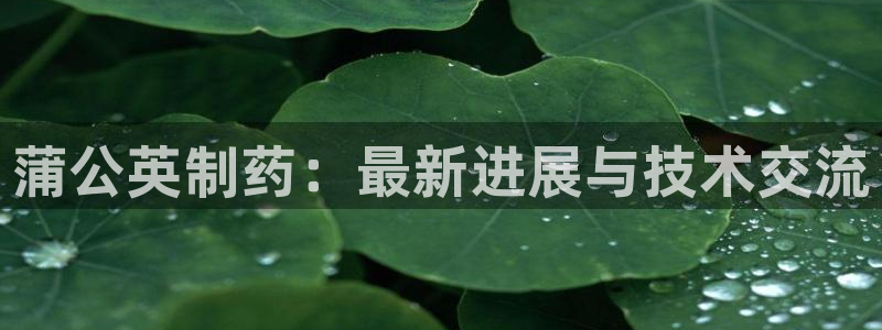 九游老哥俱乐部登录：蒲公英制药：最新进展与技术交流