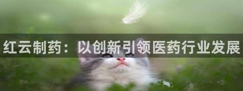 老哥吧九游会下架吗：红云制药：以创新引领医药行业发展