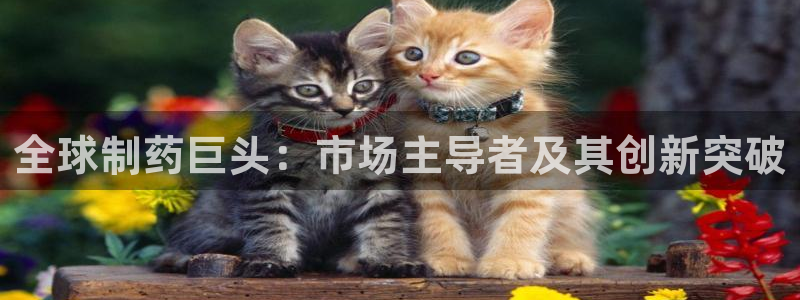 九游会老哥必备的交流社区九：全球制药巨头：市场主导者及其创新突破