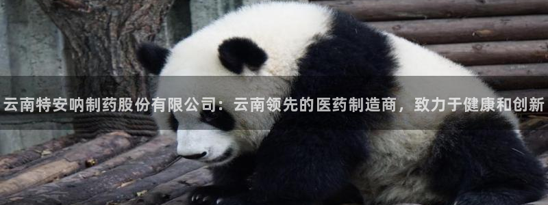 九游会老哥俱乐部必备的交流社区论坛：云南特安呐制药股份有限公司：云南领先的医药制造商，致力于健康和创新