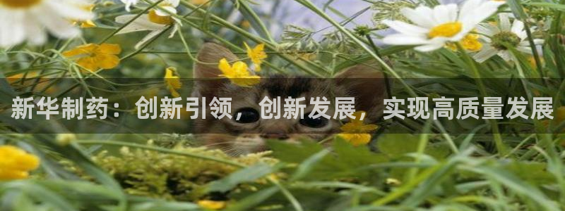 j9九游会老哥俱乐部交流区：新华制药：创新引领，创新发展，实现高质量发展
