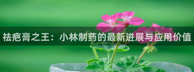 老哥俱乐部是干什么的：祛疤膏之王：小林制药的最新进展与应用价值
