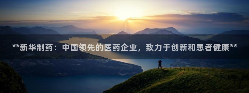 9游会老哥：**新华制药：中国领先的医药企业，致力于创新和患者健康**