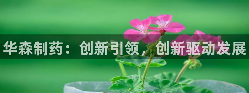9游会老哥俱乐部：华森制药：创新引领，创新驱动发展