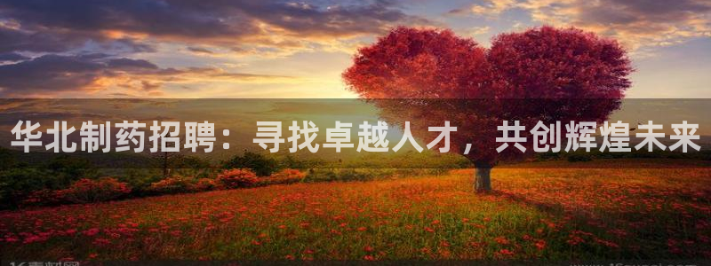 九游会老哥俱乐部必备的交流社区：华北制药招聘：寻找卓越人才，共创辉煌未来