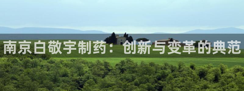 老哥吧九游会下架吗