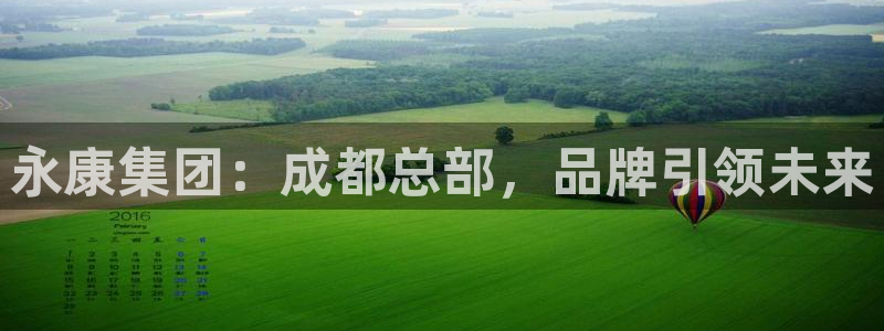 九游老哥俱乐部官网登录：永康集团：成都总部，品牌引领未来