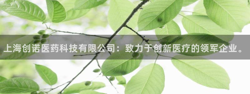 ag九游老哥俱乐部：上海创诺医药科技有限公司：致力于创新医疗的领军企业。