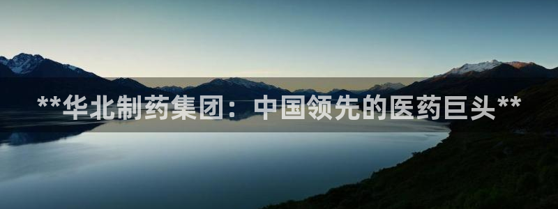 九游老哥俱乐部登录：**华北制药集团：中国领先的医药巨头**