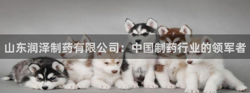 九游会老哥俱乐部社区论坛：山东润泽制药有限公司：中国制药行业的领军者