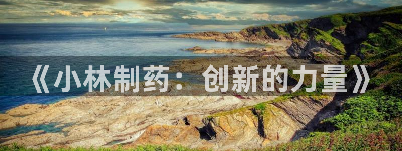 九游老哥俱乐部官网登录：《小林制药：创新的力量》