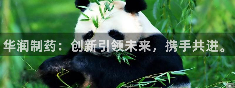 九游会老哥俱乐部必备的交流社区论坛：华润制药：创新引领未来，携手共进。