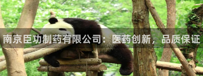 ag九游会老哥：南京臣功制药有限公司：医药创新，品质保证