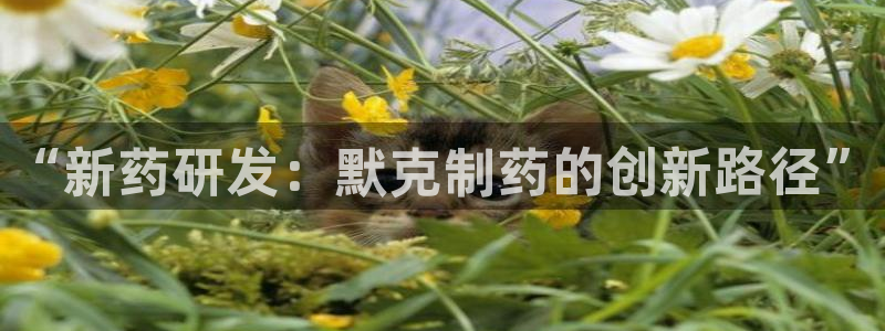 老哥吧九游会下架吗：“新药研发：默克制药的创新路径”