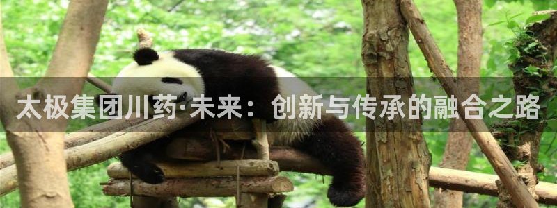 九游老哥俱乐部官网登录：太极集团川药·未来：创新与传承的融合之路