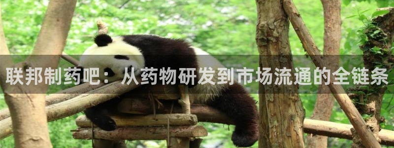 usdt九游会老哥俱乐部：联邦制药吧：从药物研发到市场流通的