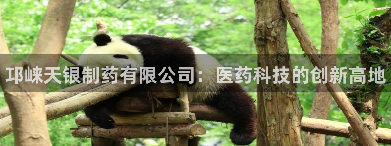 九游老哥俱乐部官网登录：邛崃天银制药有限公司：医药科技的创新高地