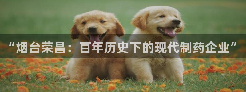 九游会老哥俱乐部官方网站:“烟台荣昌:百年历史下的现代制药企