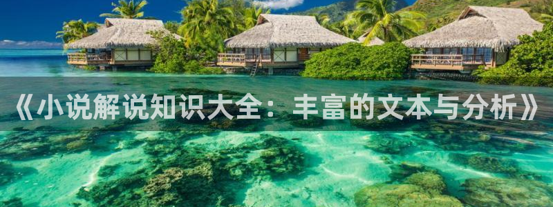 笔书阁免费阅读软件下载安装：《小说解说知识大全：丰富的文本与分析》