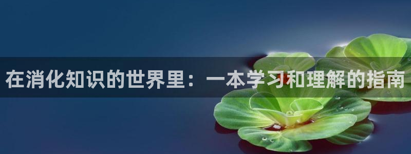 笔书阁免费：在消化知识的世界里：一本学习和理解的指南